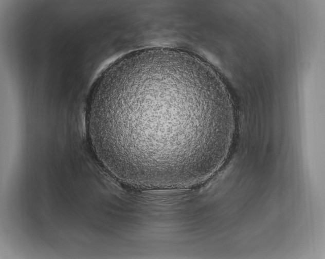 X0000113071214200909041051