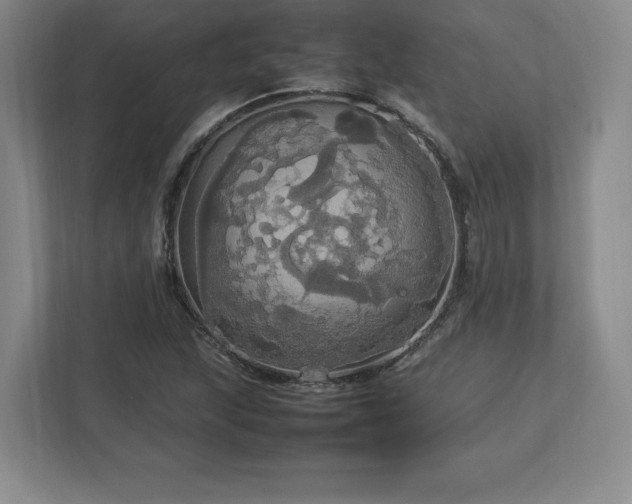 X0000113071215200909041051