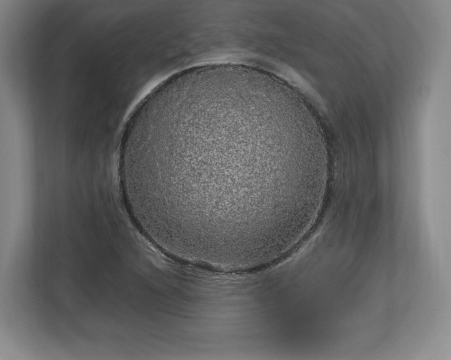 X0000113071216200909041051