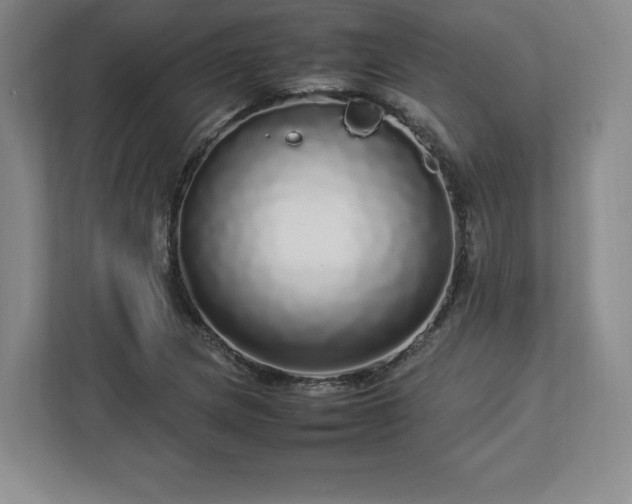 X0000113071217200909041051