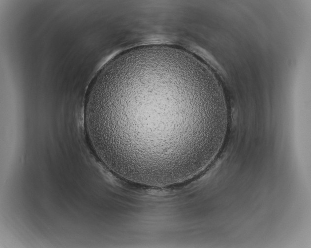 X0000113071220200909041051