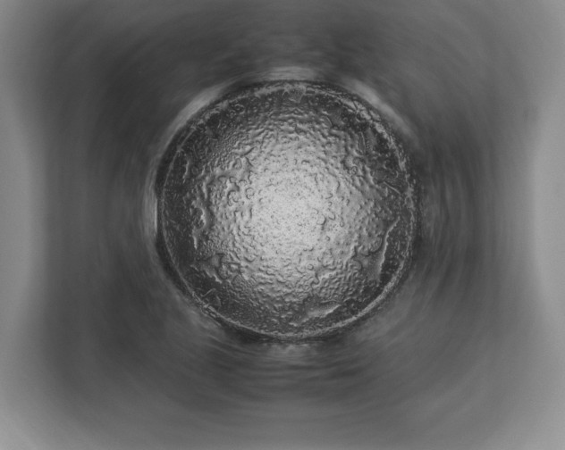 X0000113071221200909041051