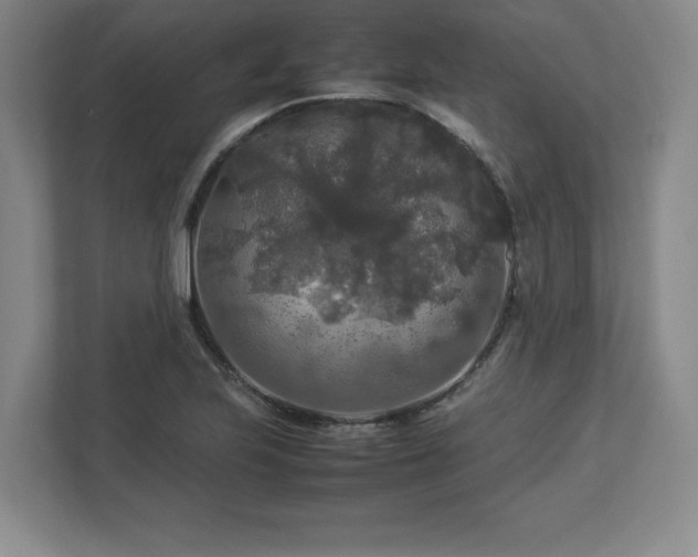 X0000113071223200909041051