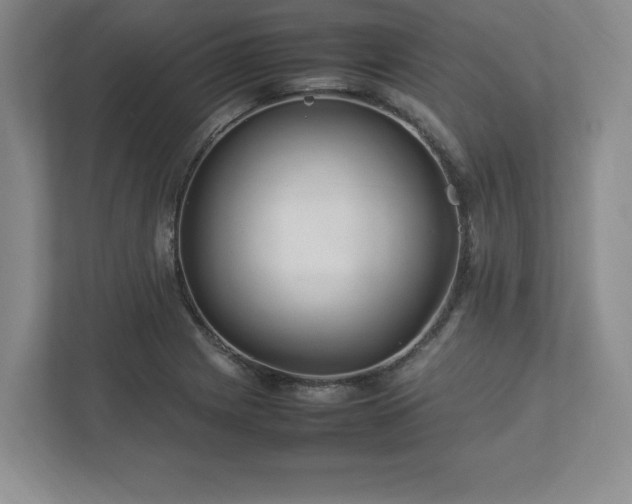 X0000113071225200909041051