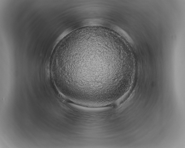 X0000113071226200909041051