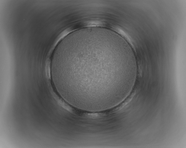 X0000113071227200909041051