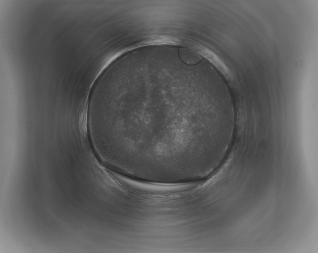 X0000113071228200909041051