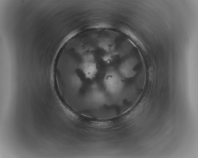 X0000113071229200909041051