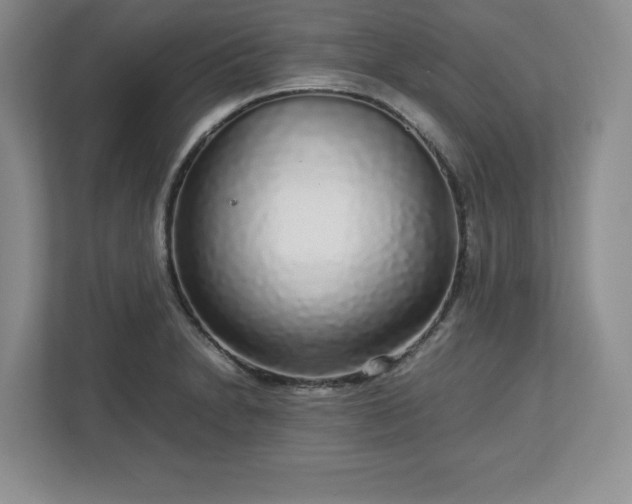 X0000113071230200909041051