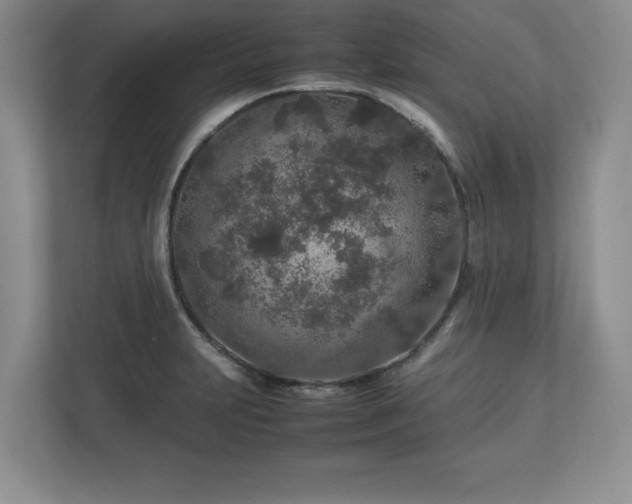 X0000113071231200909041051