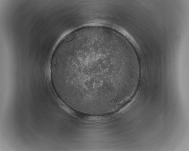 X0000113071232200909041051