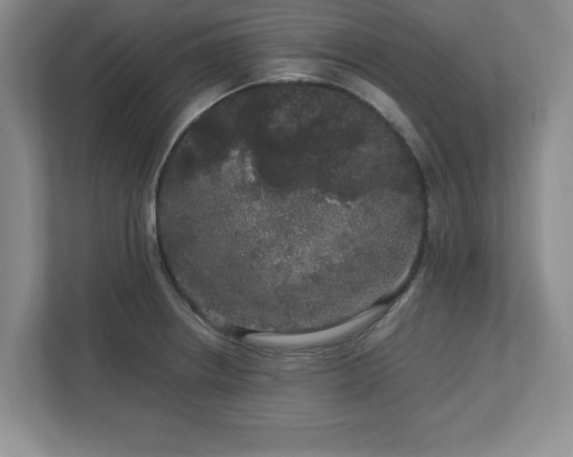 X0000113071234200909041051