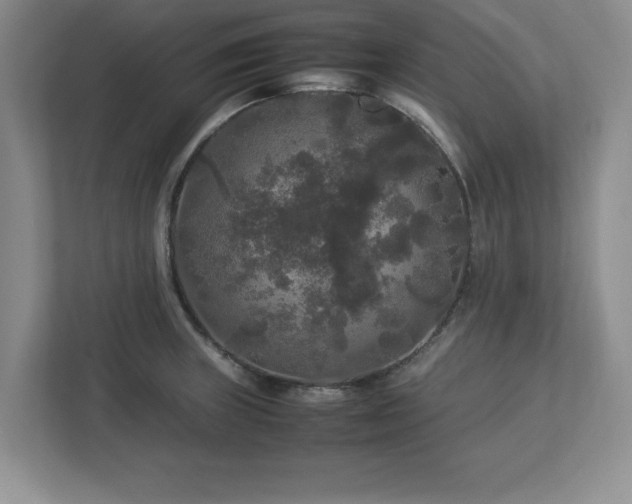 X0000113071235200909041051