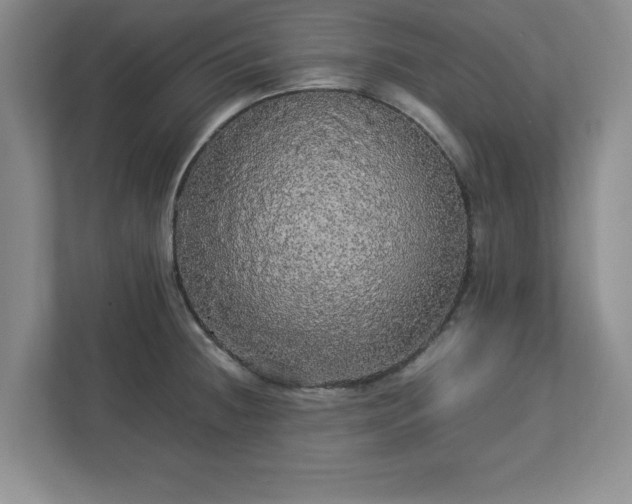 X0000113071236200909041051