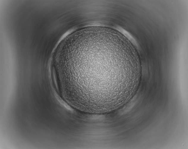 X0000113071238200909041051