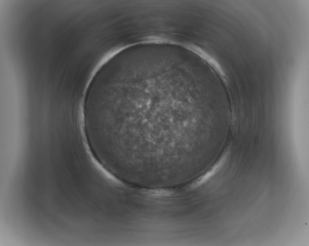 X0000113071239200909041051