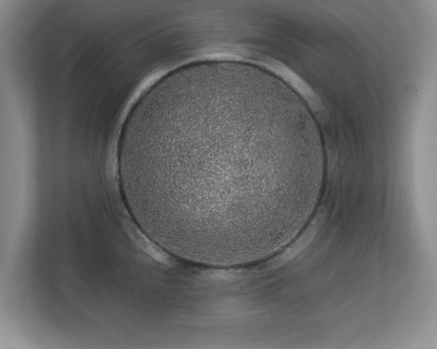 X0000113071240200909041051