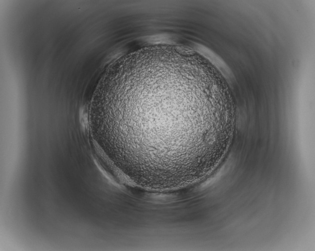 X0000113071241200909041051