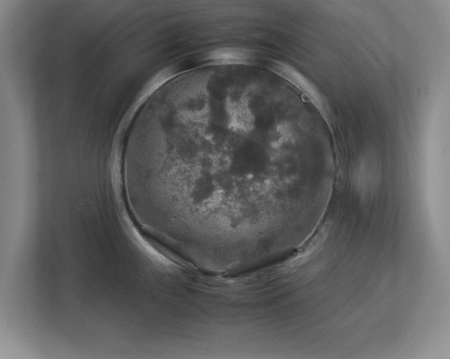 X0000113071243200909041051