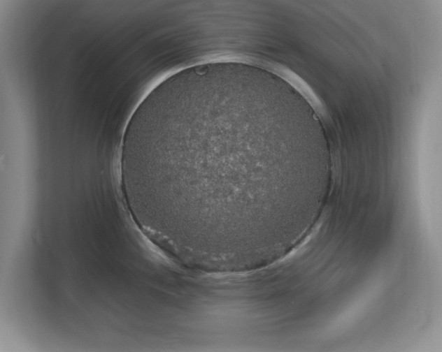 X0000113071244200909041051