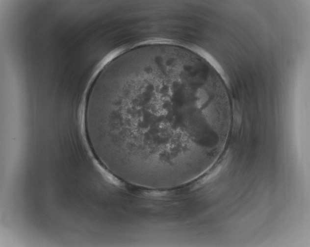 X0000113071245200909041051