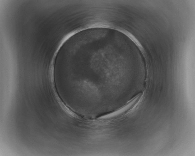 X0000113071246200909041051