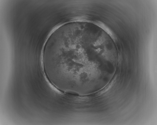 X0000113071247200909041051