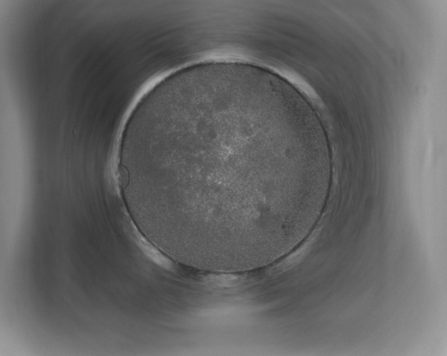 X0000113071248200909041051