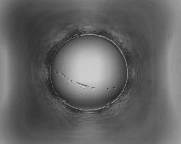 X0000113071253200909041051