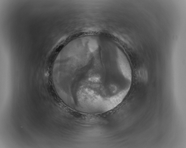 X0000113071254200909041051