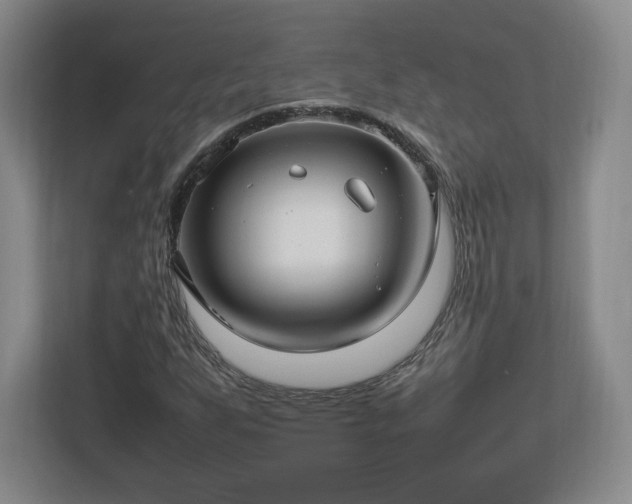 X0000113071255200909041051