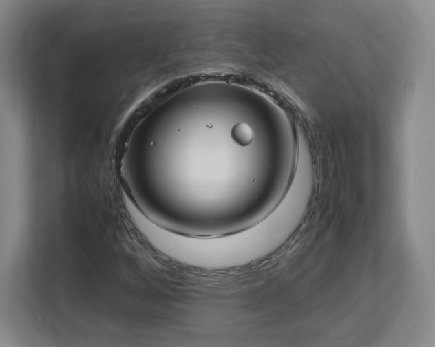 X0000113071256200909041051