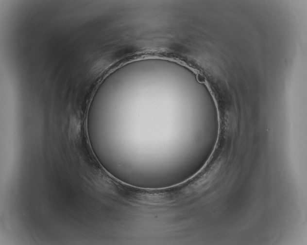 X0000113071257200909041051