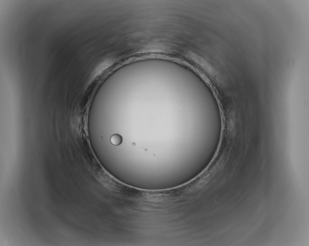 X0000113071258200909041051