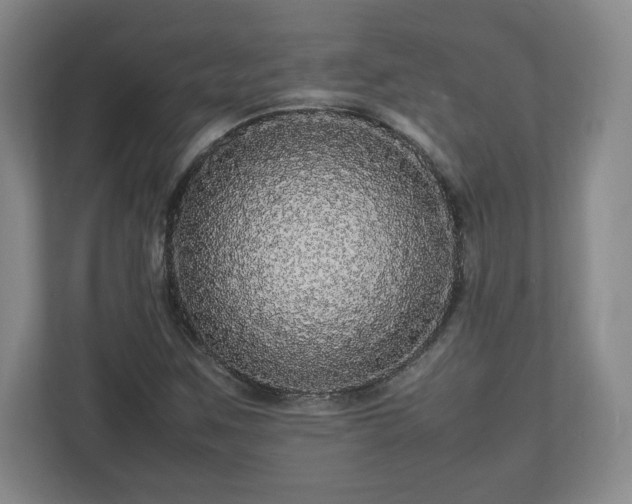 X0000113071259200909041051