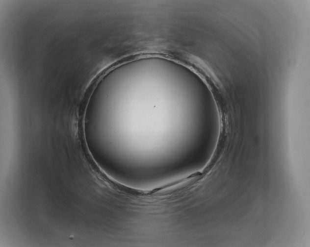 X0000113071260200909041051