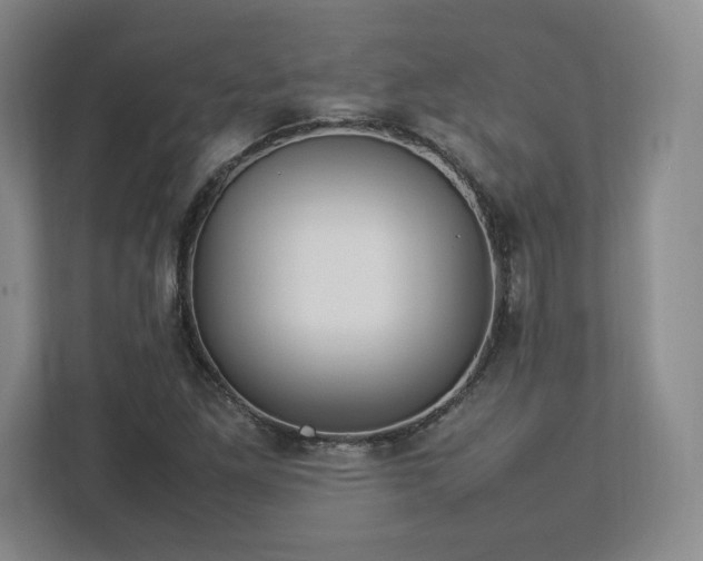 X0000113071261200909041051