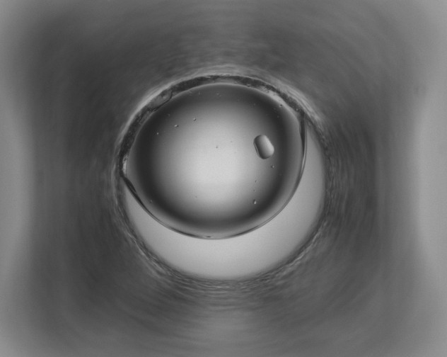 X0000113071264200909041051