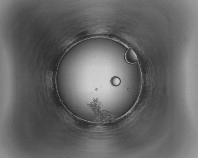 X0000113071265200909041051