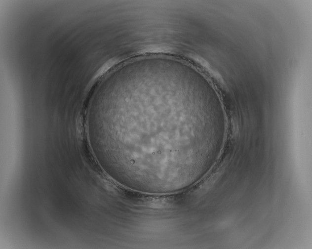 X0000113071266200909041051