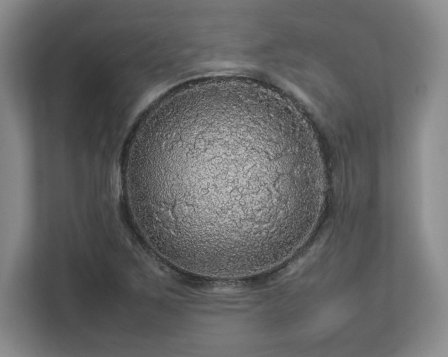 X0000113071267200909041051