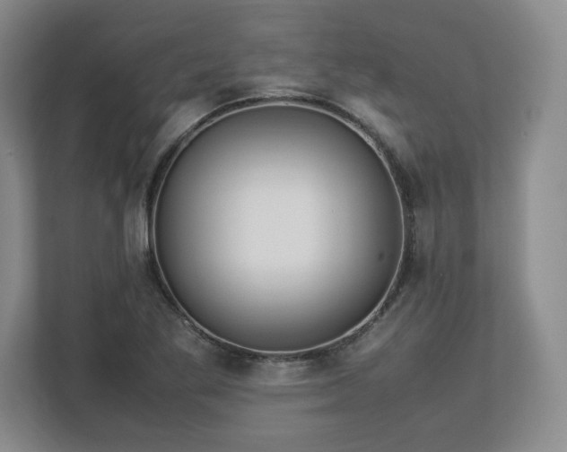 X0000113071269200909041050