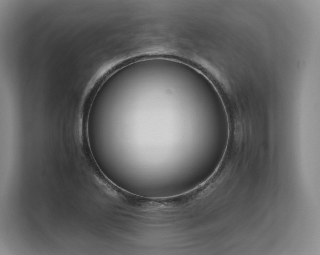 X0000113071270200909041050