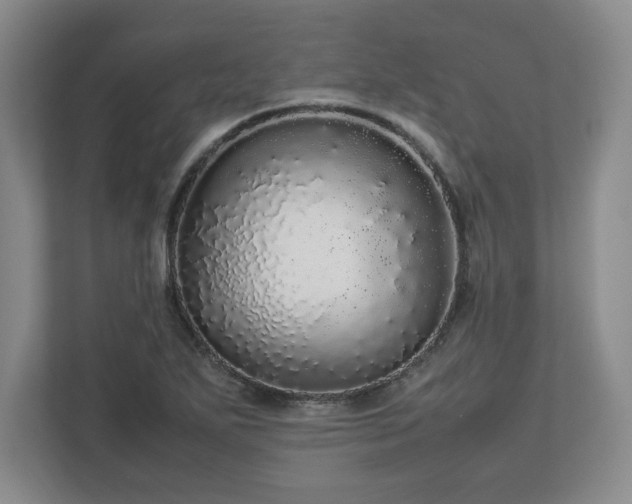 X0000113071271200909041050