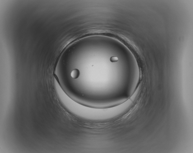 X0000113071273200909041050