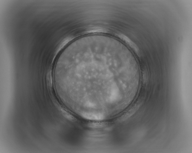 X0000113071274200909041050