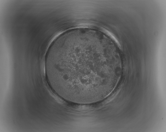 X0000113071275200909041050