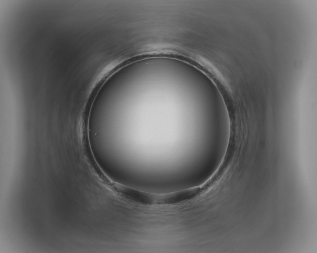 X0000113071277200909041050