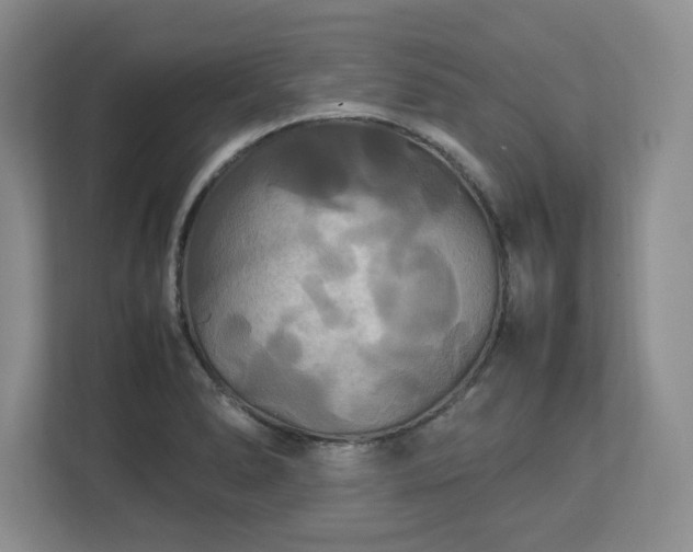 X0000113071278200909041050