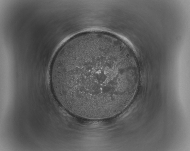 X0000113071279200909041050